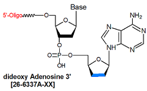 picture of dideoxy A-3'
